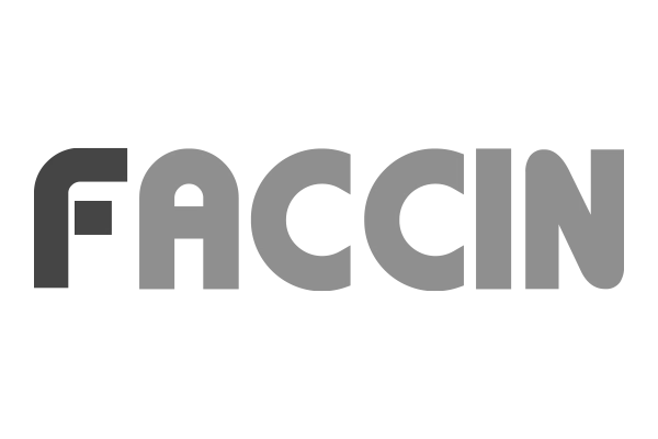 Homepage 21 Faccin spa-partner
