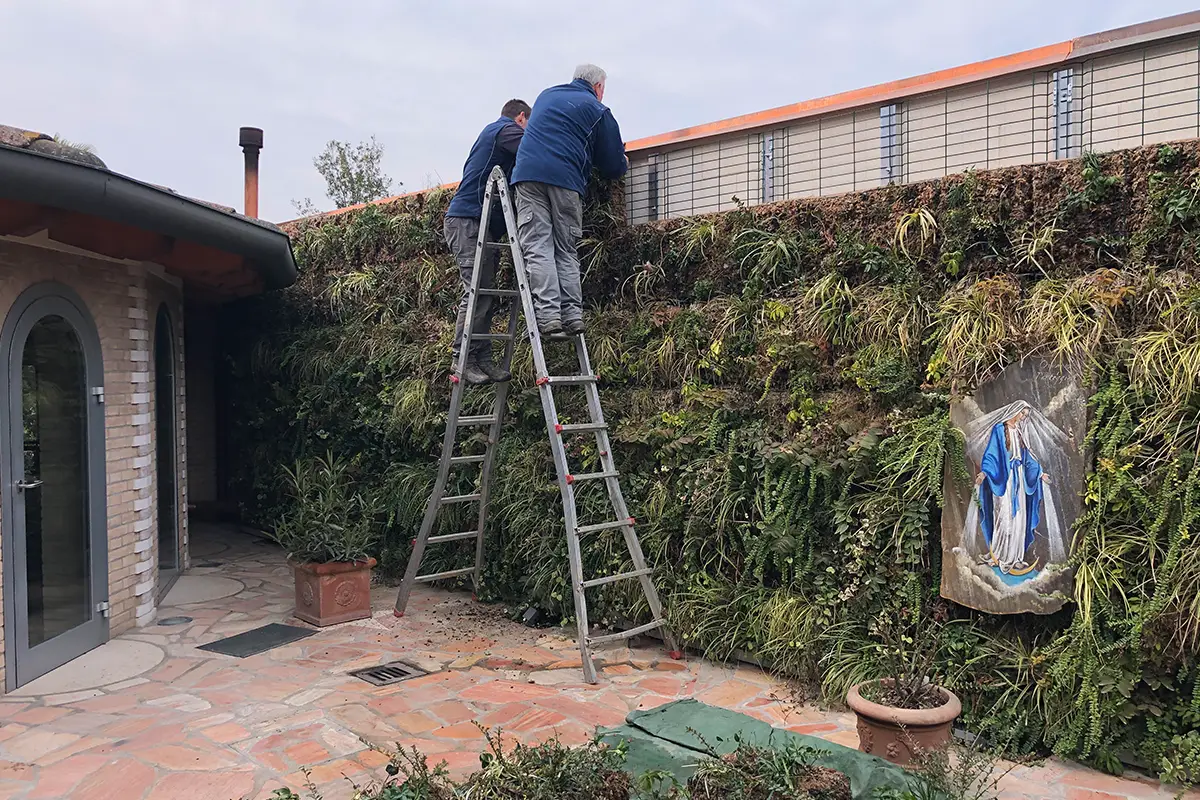 giardino verticale page 1