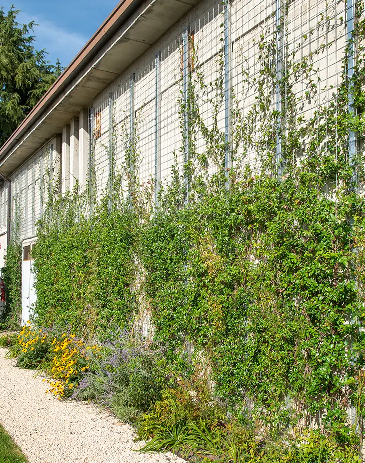 giardino verticale page 2