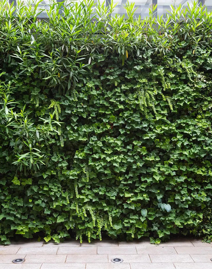 giardino verticale page 3