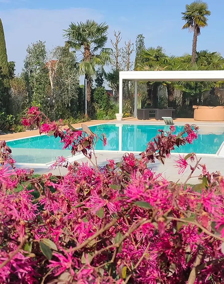 impianti antizanzare page 2