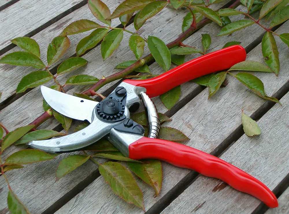 manutenzione giardini img 2