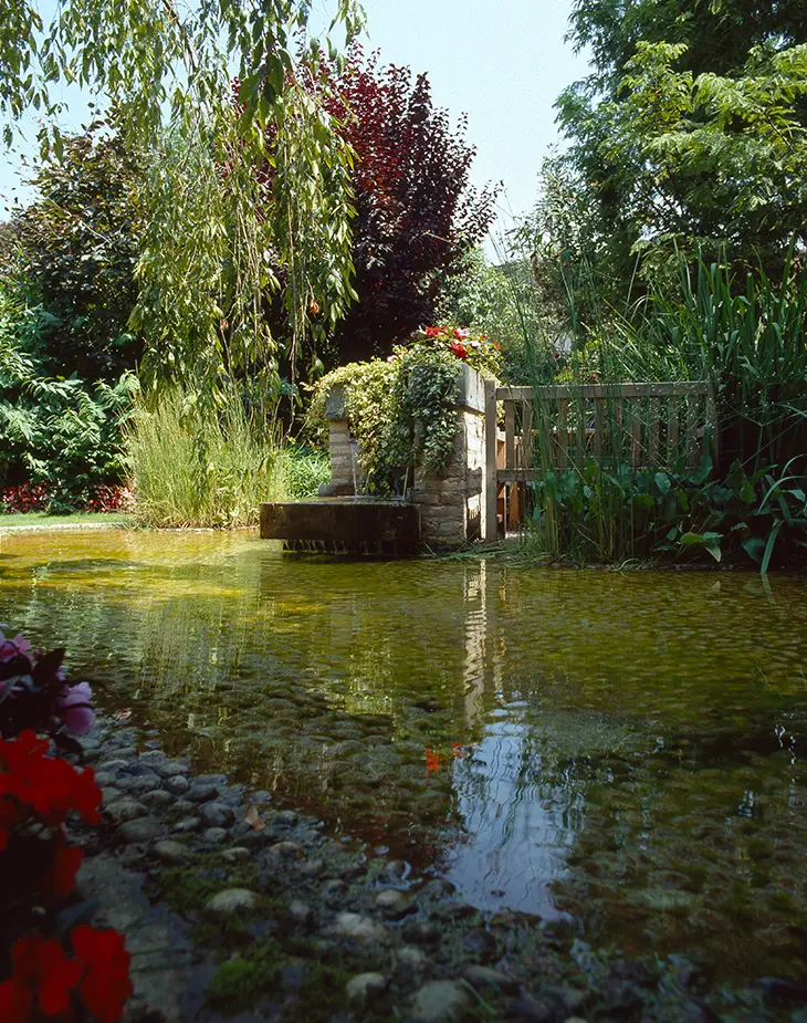 piscine biologiche page 2