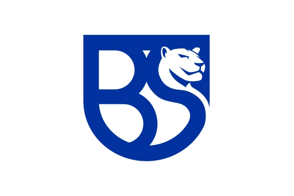 union brescia